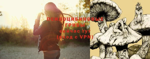 круглые Алзамай